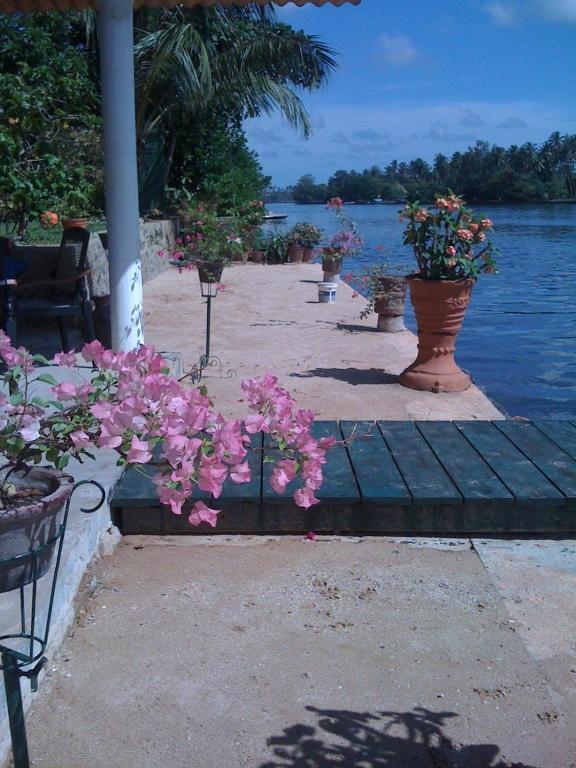 Hôtel Ganga Garden à Beruwala Extérieur photo
